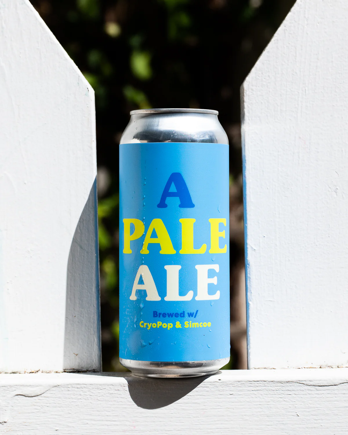 A Pale Ale