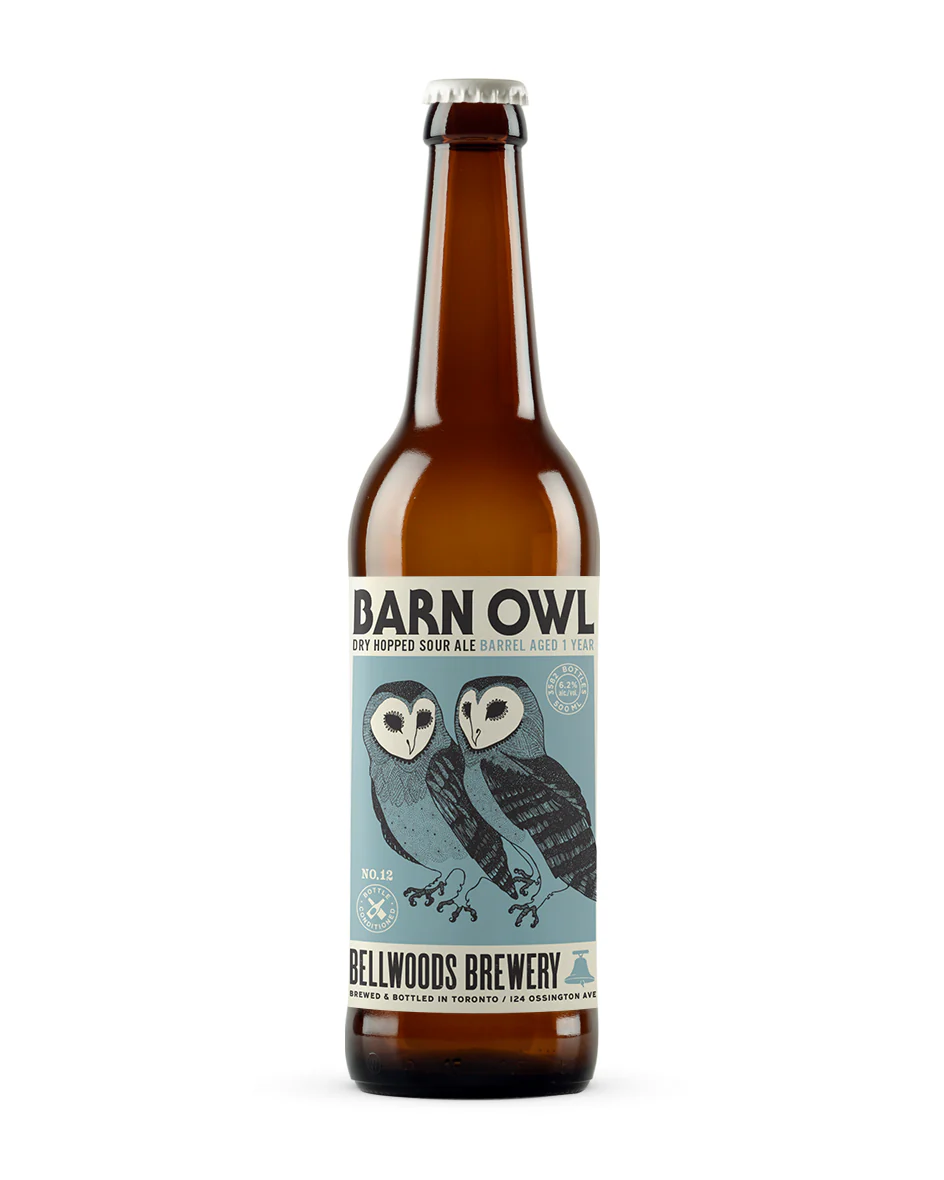 Barn Owl No.12