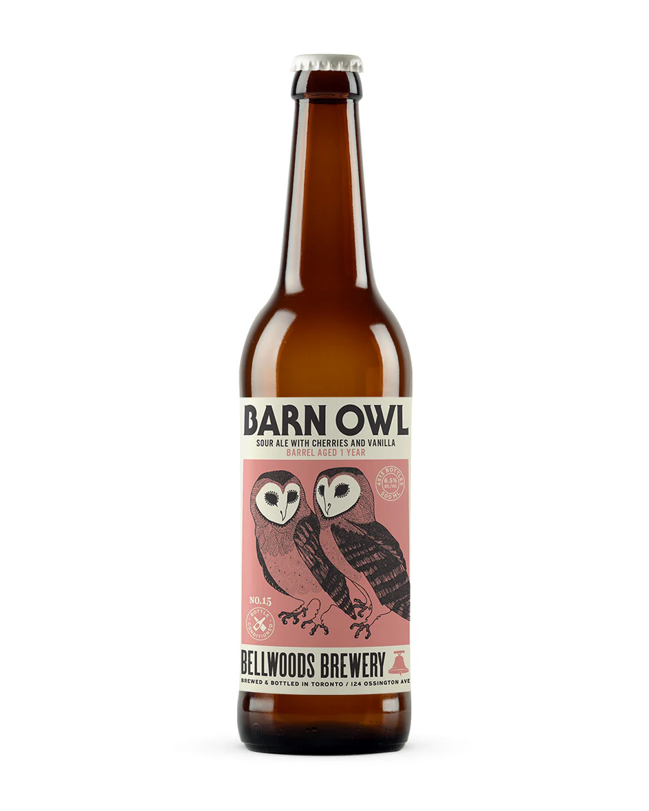 Barn Owl No.15