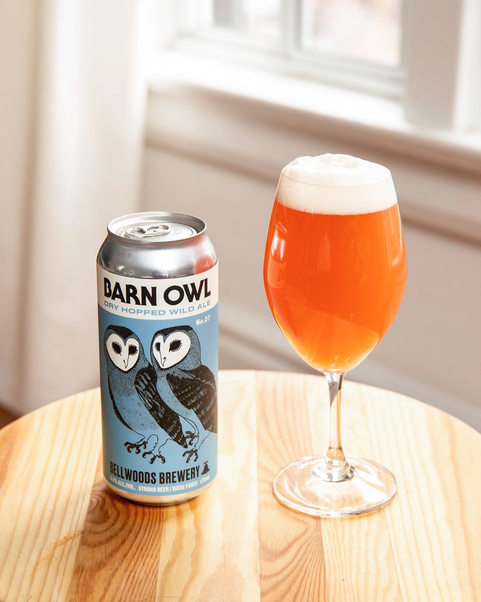 Barn Owl No.37