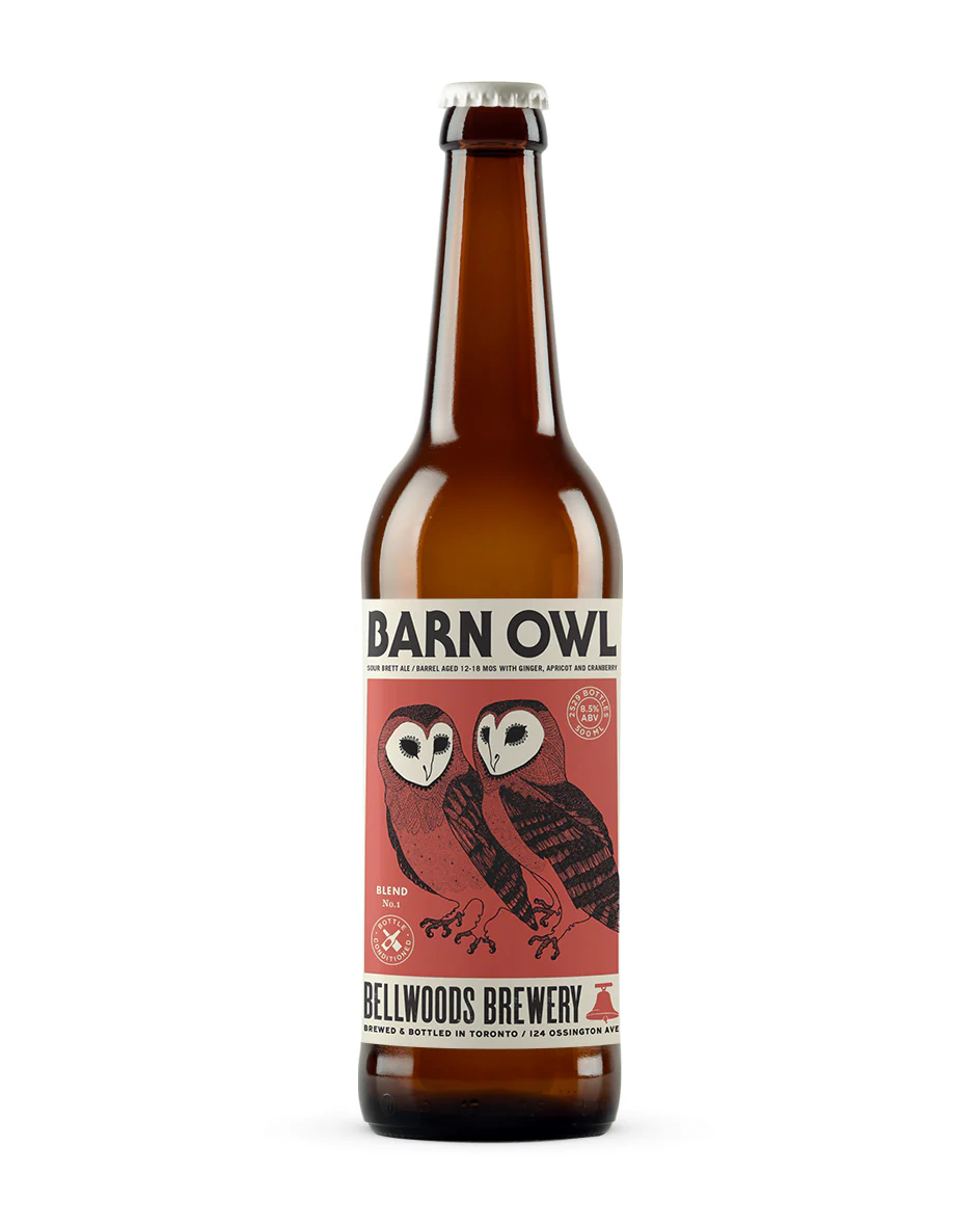 Barn Owl No.1